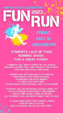 Pink Fun Run Flyer